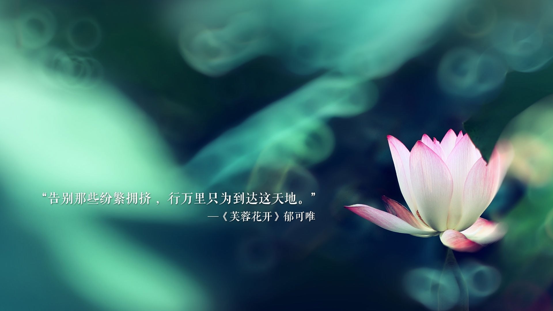 LCS战队粉丝日互动火爆，lcs赛区战队排名