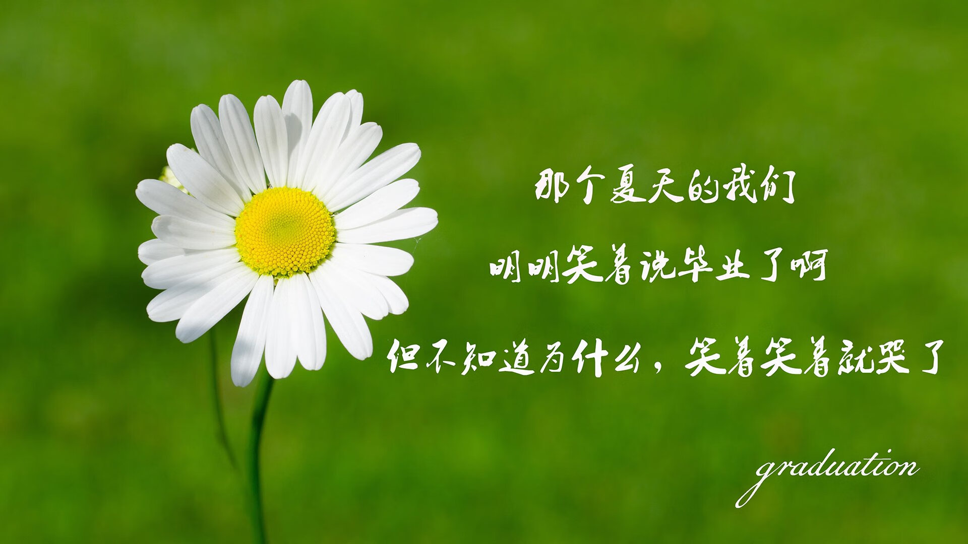 B 体育官网-马德里竞技队击败皇家社会队，取得胜利迎来开门红，马德里皇家足球俱乐部