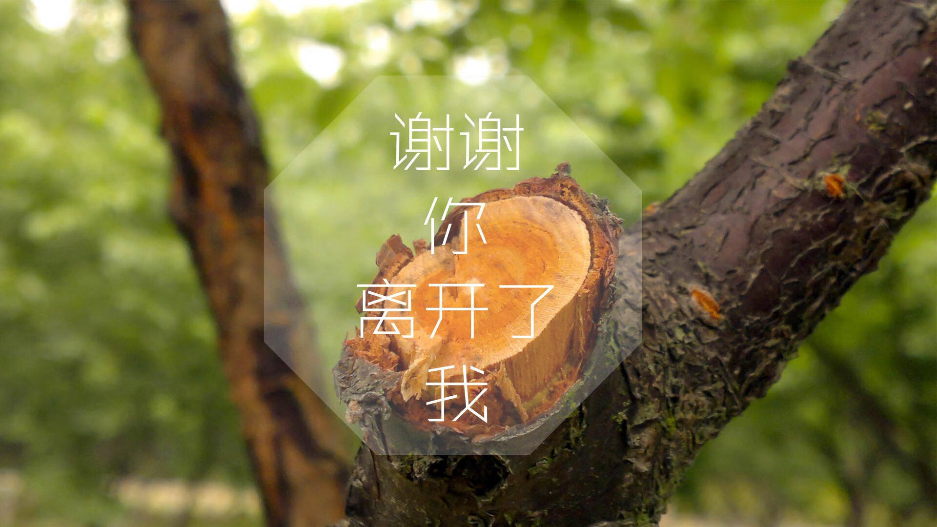 B体育在线登录入口-破纪录瞬间：本季最令人难忘的瞬间盘点，记录难忘