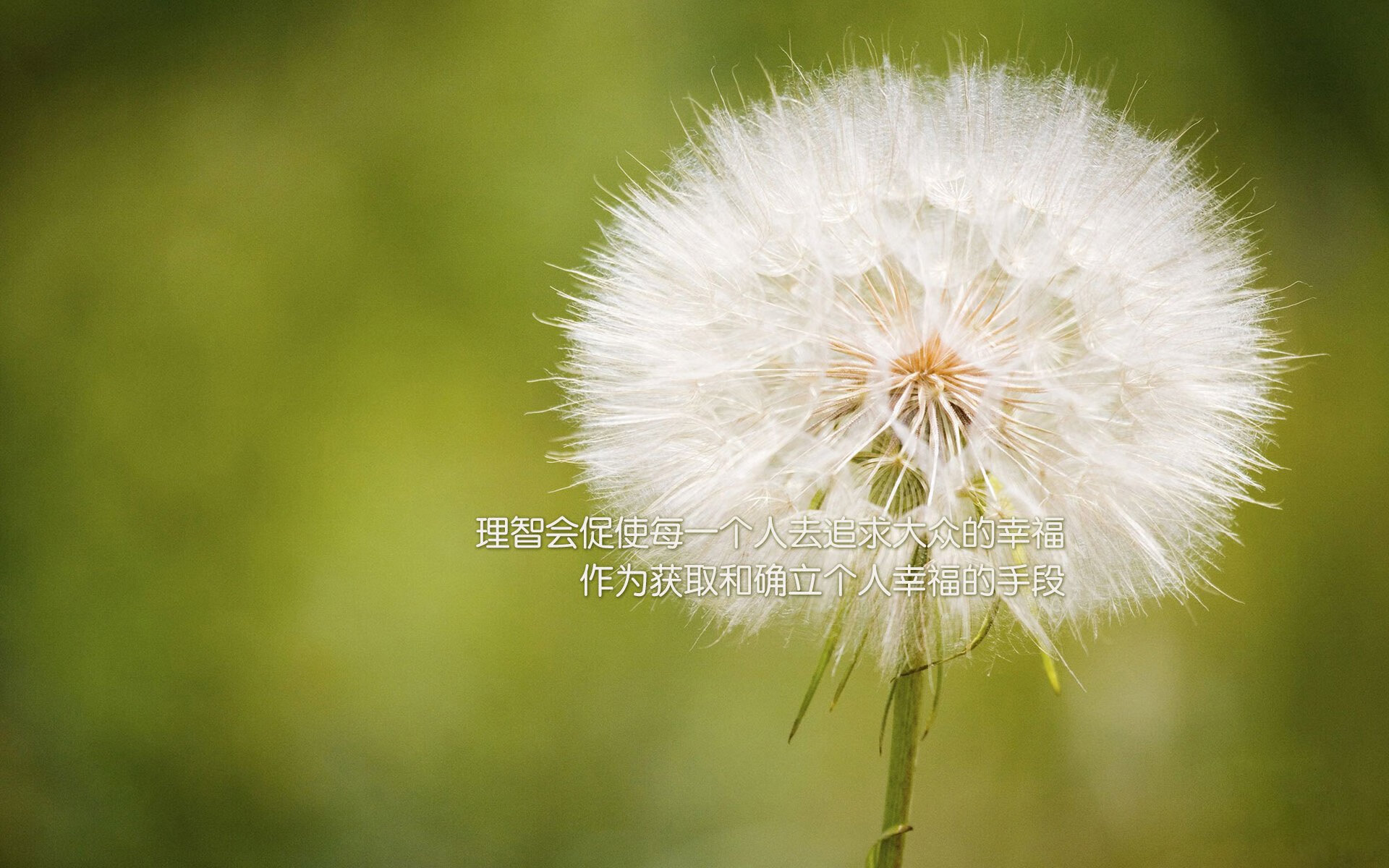 张伟丽转训泰国以应对强敌腿法攻击,张伟丽与泰国选手对打视频